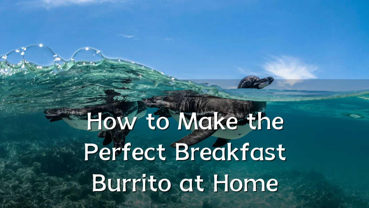 How to Make the Perfect Breakfast Burrito at Home