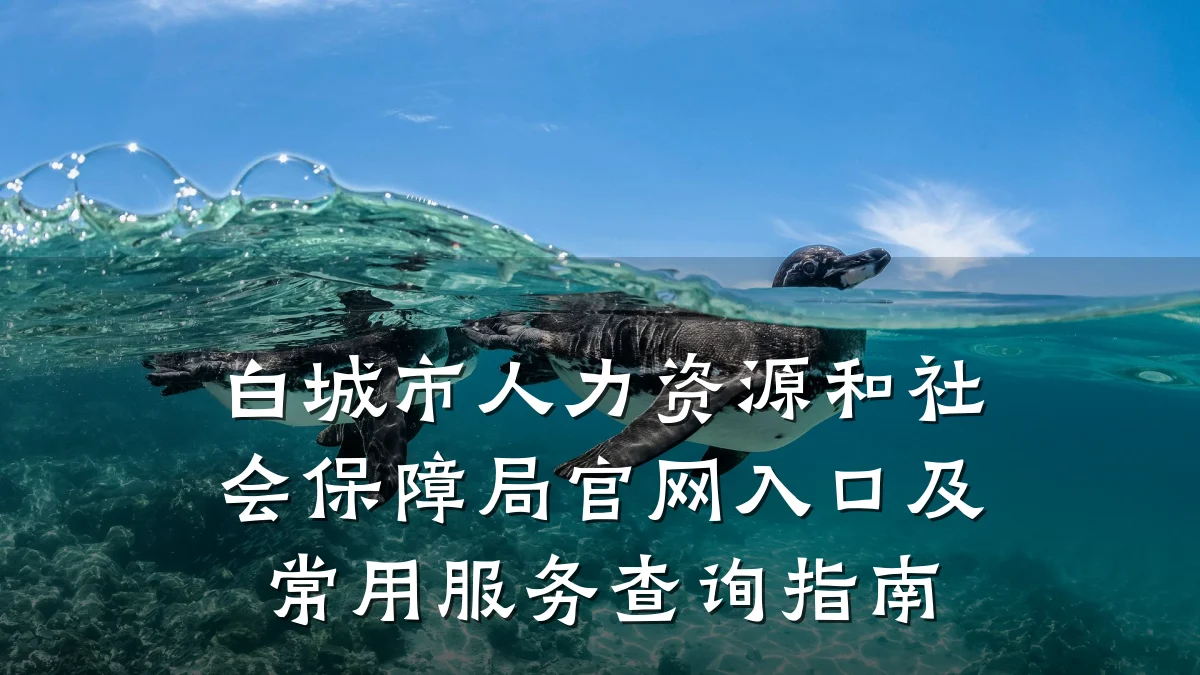 白城市人力资源和社会保障局官网入口及常用服务查询指南