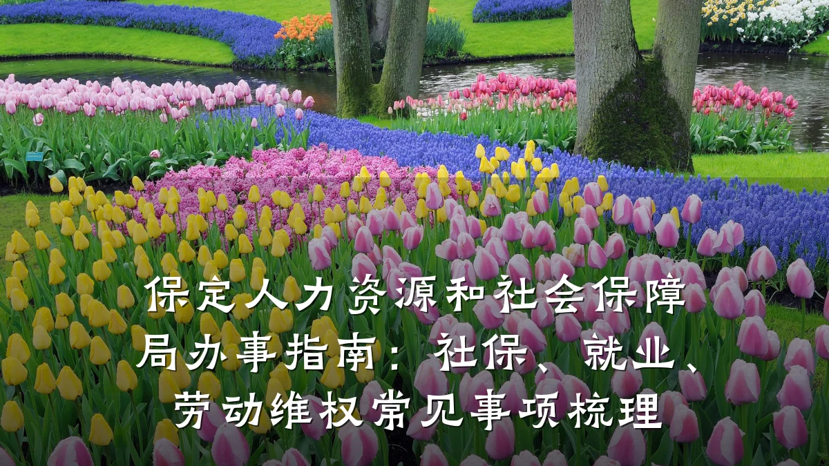 保定人力资源和社会保障局办事指南:社保、就业、劳动维权常见事项梳理