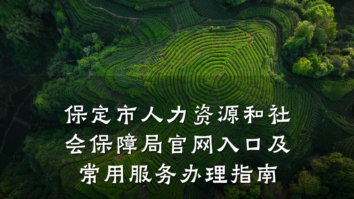 保定市人力资源和社会保障局官网入口及常用服务办理指南