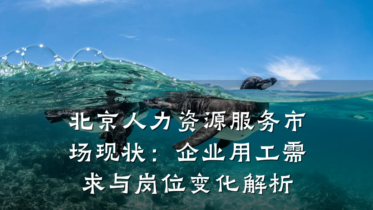 北京人力资源服务市场现状：企业用工需求与岗位变化解析