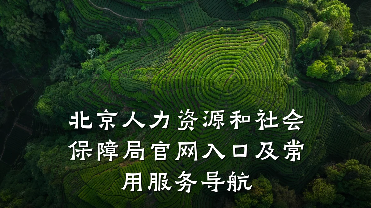 北京人力资源和社会保障局官网入口及常用服务导航