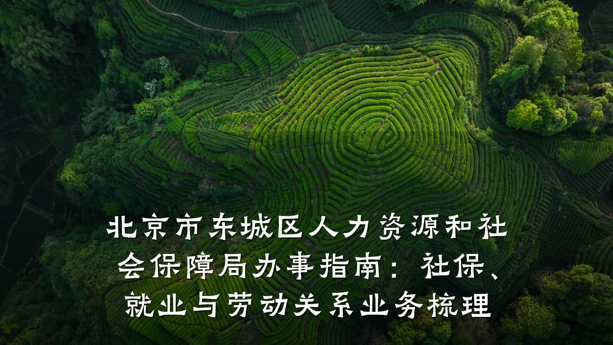 北京市东城区人力资源和社会保障局办事指南：社保、就业与劳动关系业务梳理