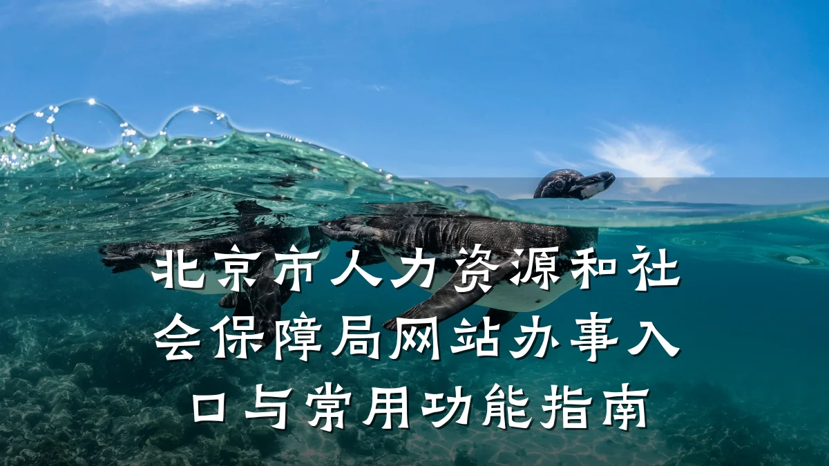 北京市人力资源和社会保障局网站办事入口与常用功能指南