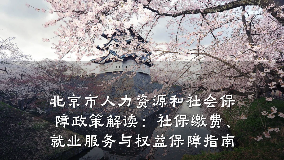 北京市人力资源和社会保障政策解读：社保缴费、就业服务与权益保障指南