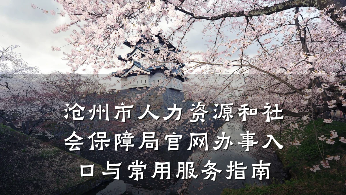 沧州市人力资源和社会保障局官网办事入口与常用服务指南