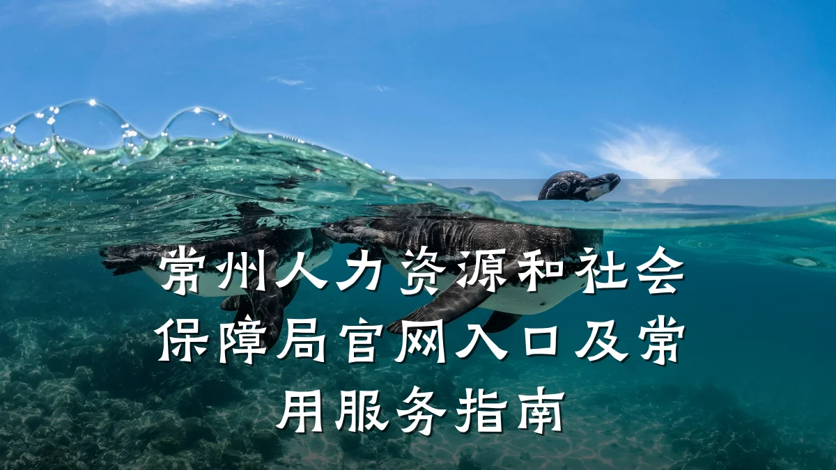常州人力资源和社会保障局官网入口及常用服务指南