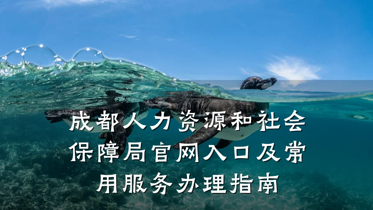 成都人力资源和社会保障局官网入口及常用服务办理指南