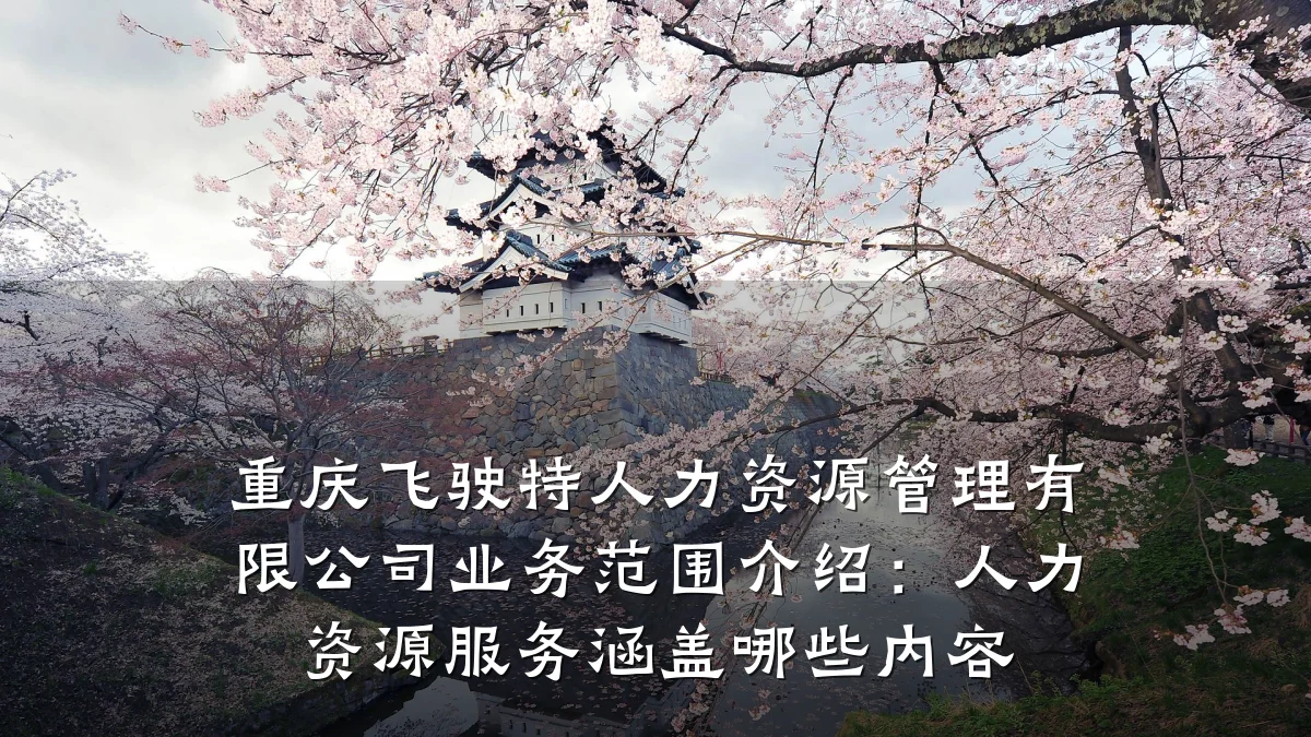重庆飞驶特人力资源管理有限公司业务范围介绍:人力资源服务涵盖哪些内容