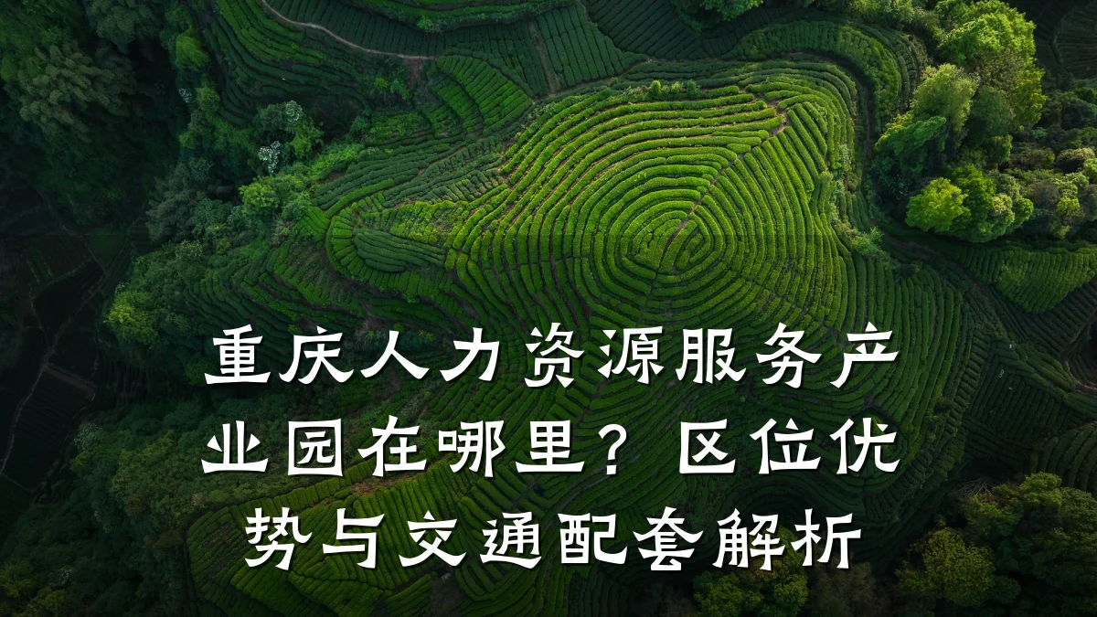 重庆人力资源服务产业园在哪里?区位优势与交通配套解析
