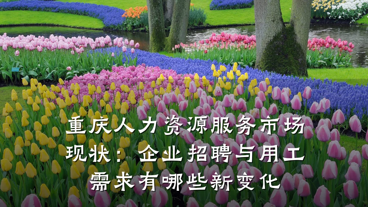 重庆人力资源服务市场现状：企业招聘与用工需求有哪些新变化