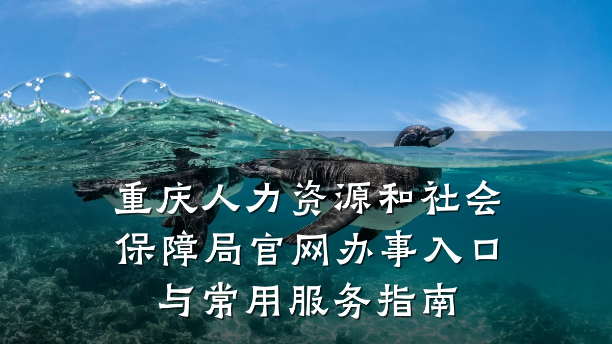 重庆人力资源和社会保障局官网办事入口与常用服务指南