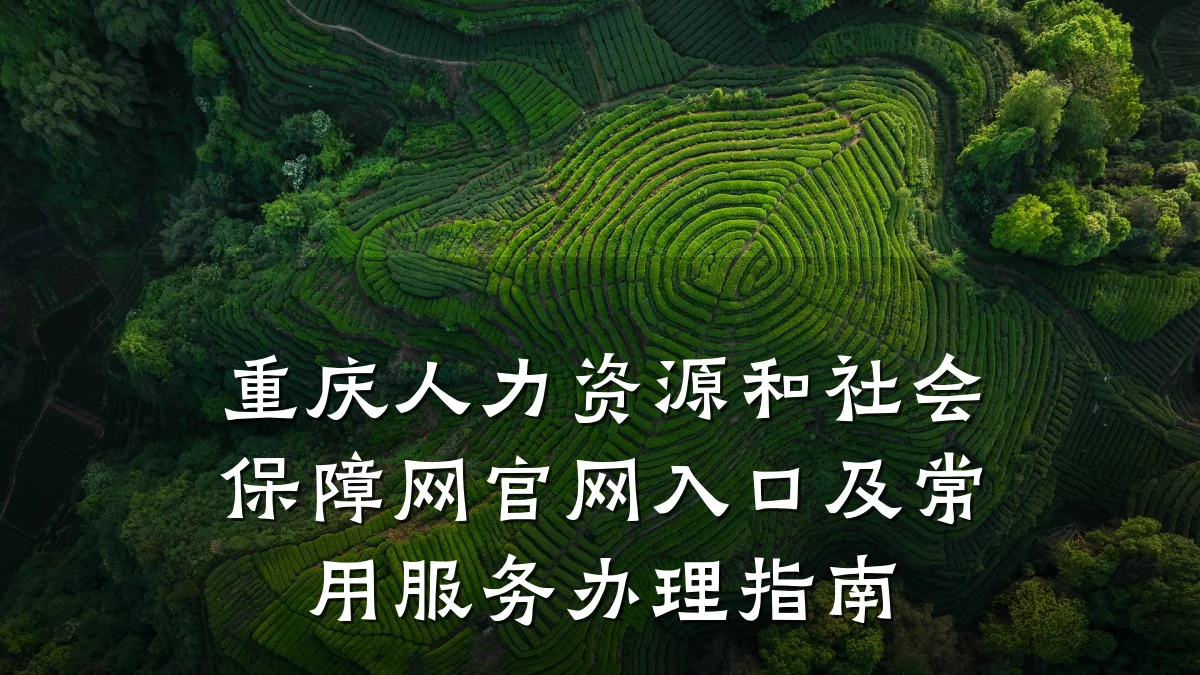 重庆人力资源和社会保障网官网入口及常用服务办理指南