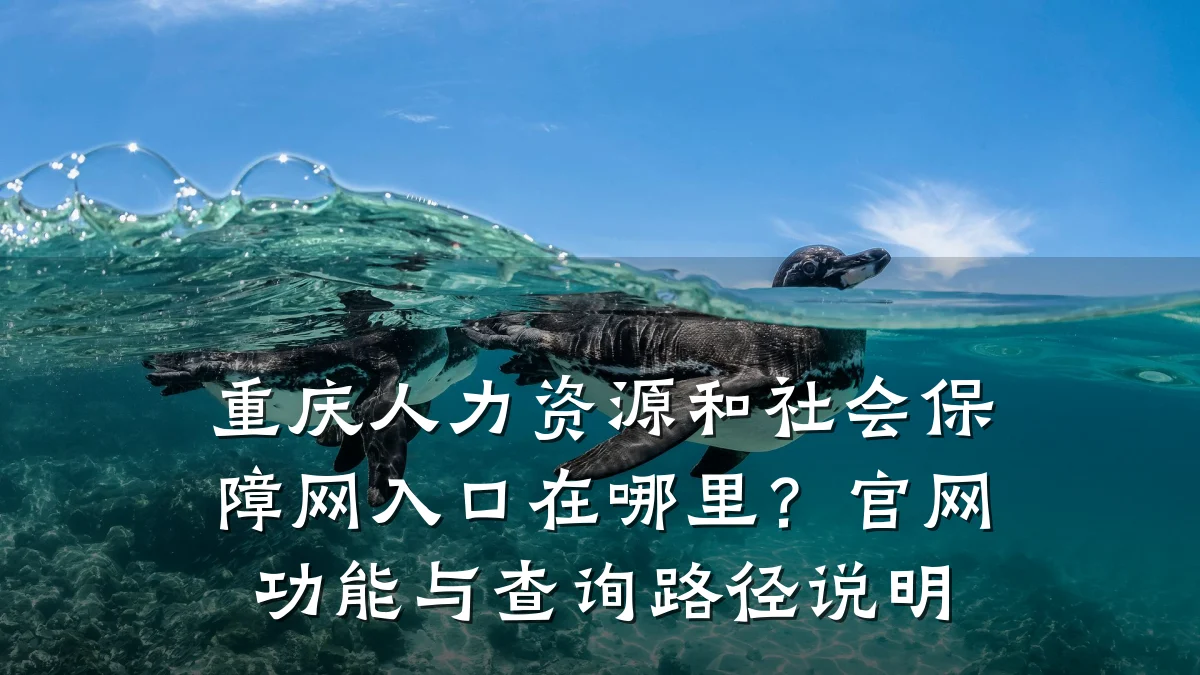 重庆人力资源和社会保障网入口在哪里?官网功能与查询路径说明