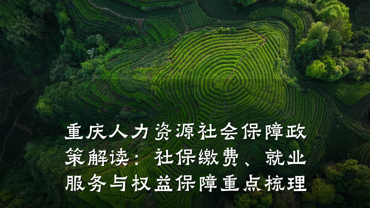 重庆人力资源社会保障政策解读：社保缴费、就业服务与权益保障重点梳理