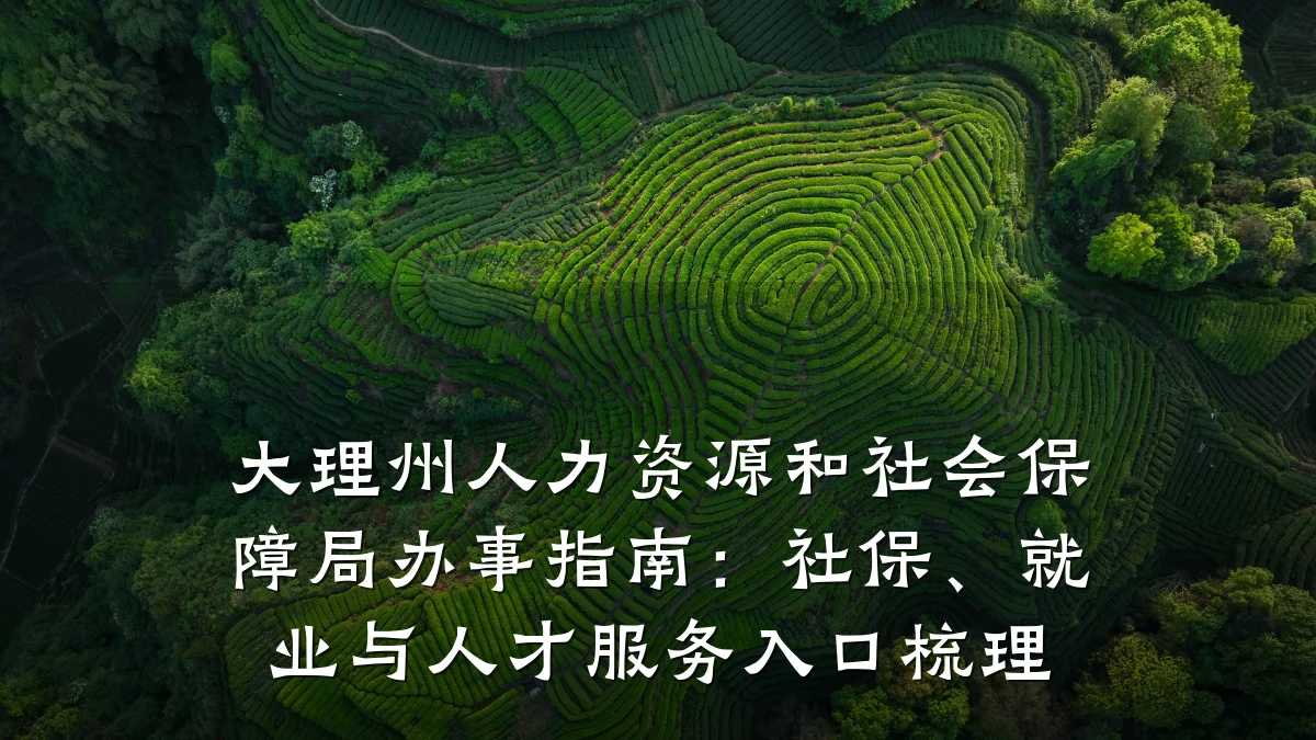 大理州人力资源和社会保障局办事指南：社保、就业与人才服务入口梳理