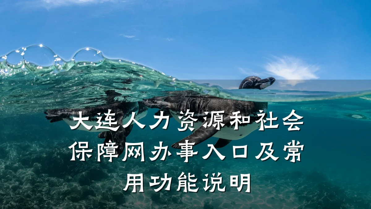 大连人力资源和社会保障网办事入口及常用功能说明