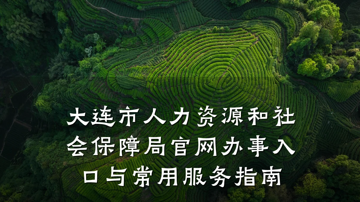 大连市人力资源和社会保障局官网办事入口与常用服务指南