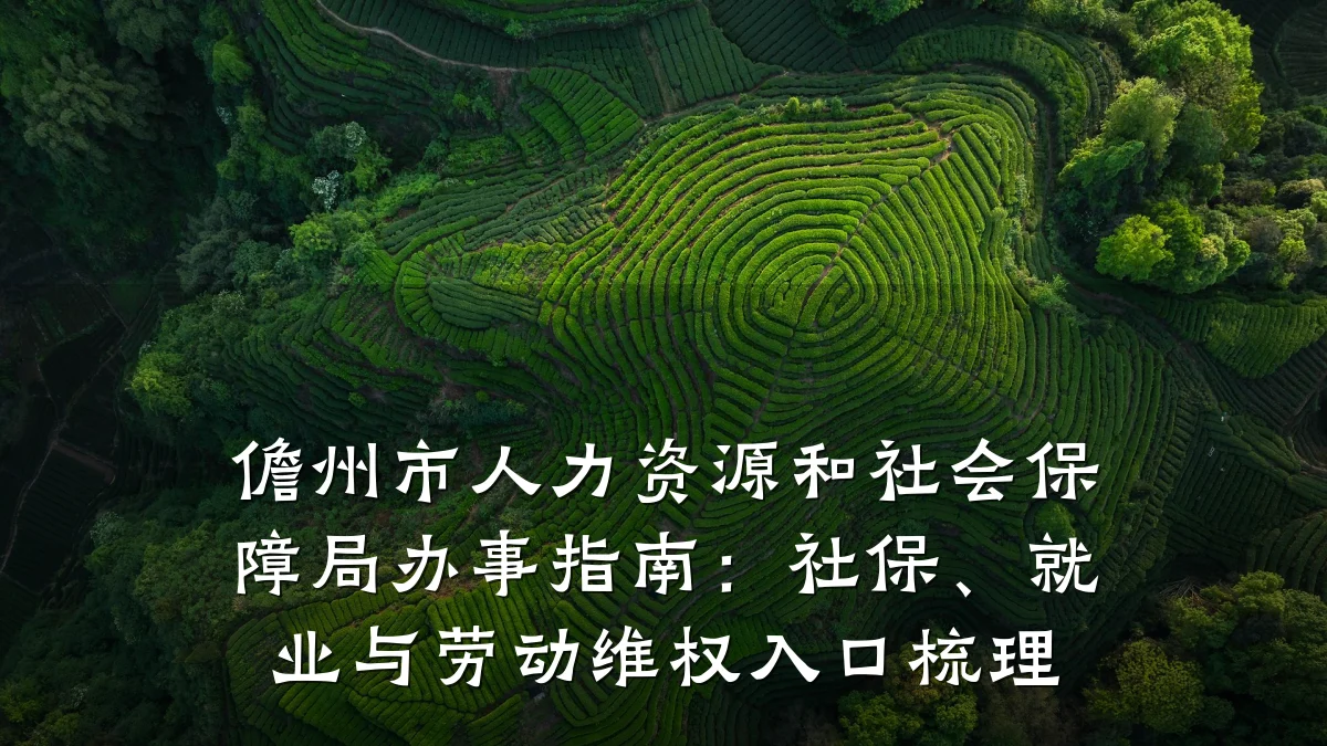 儋州市人力资源和社会保障局办事指南：社保、就业与劳动维权入口梳理