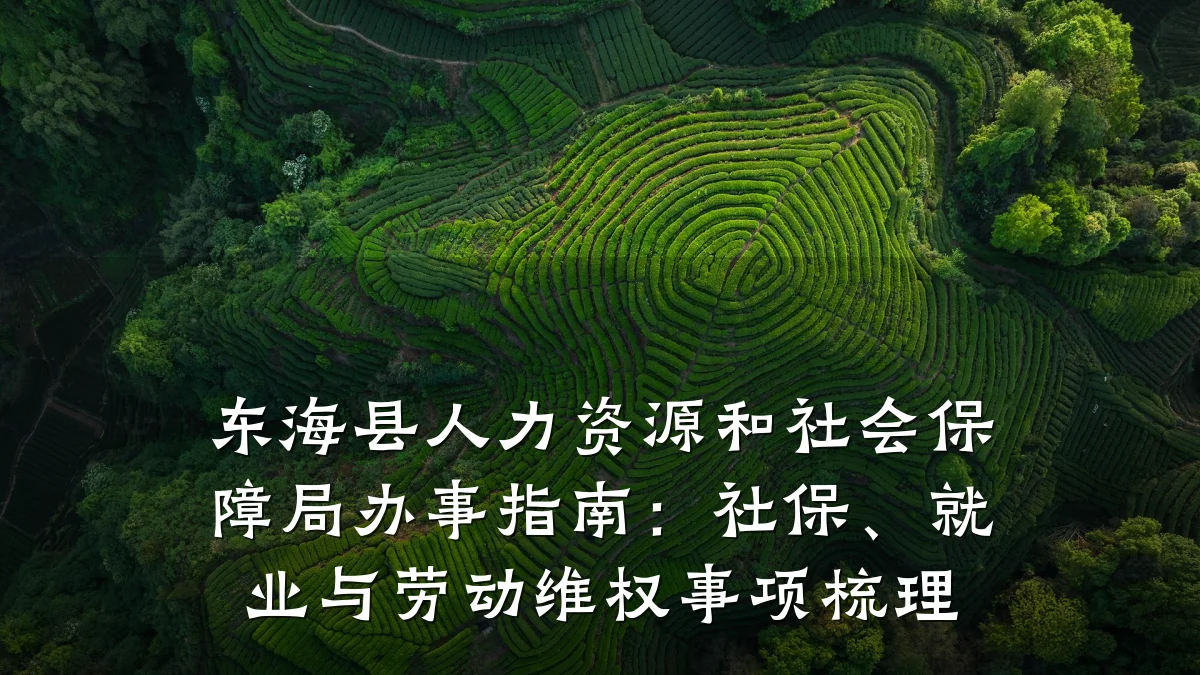东海县人力资源和社会保障局办事指南：社保、就业与劳动维权事项梳理