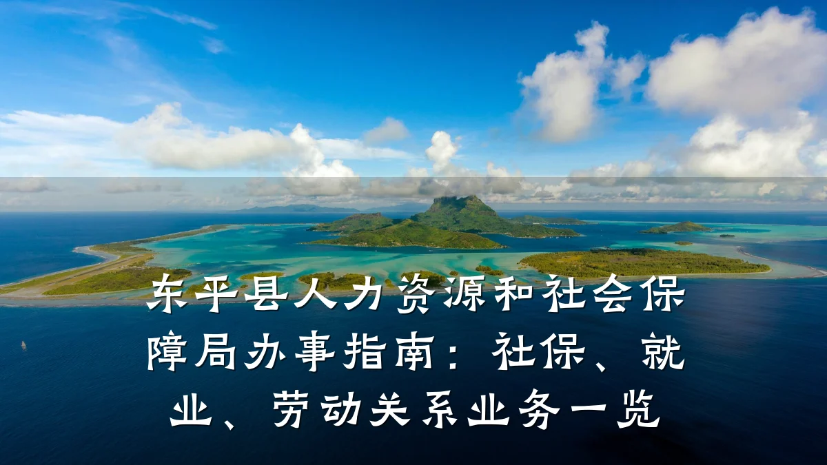 东平县人力资源和社会保障局办事指南：社保、就业、劳动关系业务一览
