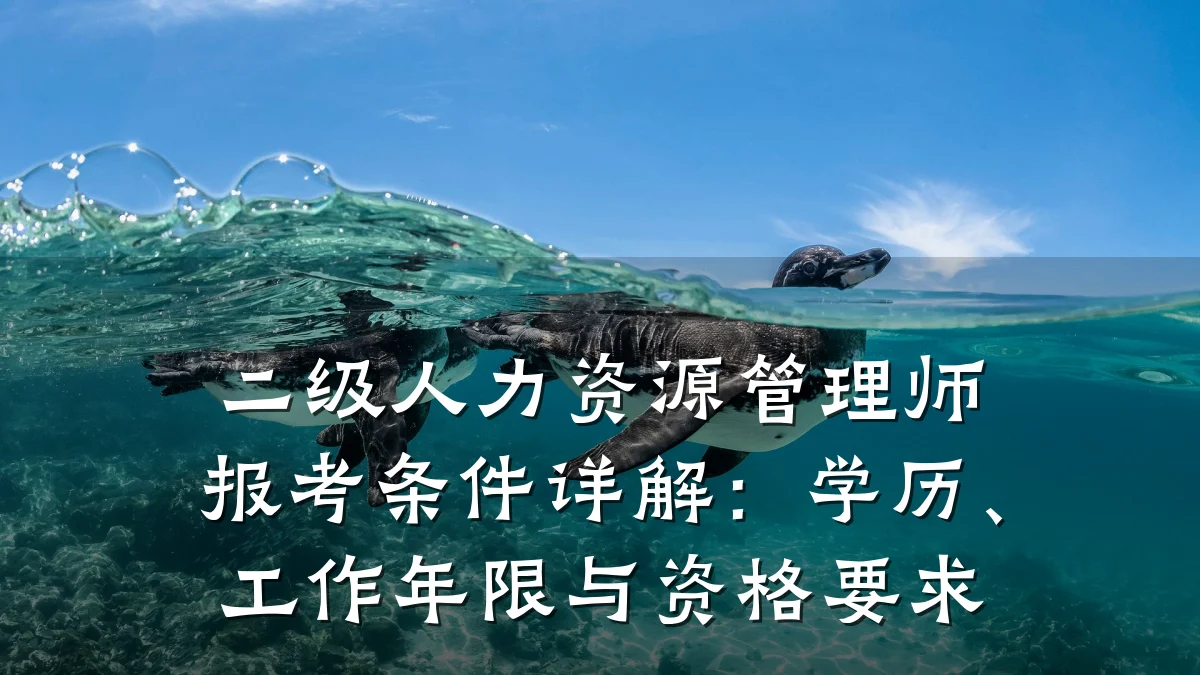 二级人力资源管理师报考条件详解：学历、工作年限与资格要求