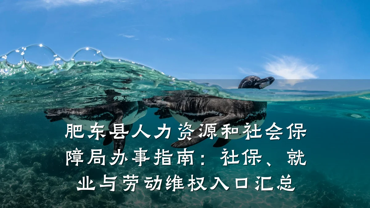 肥东县人力资源和社会保障局办事指南：社保、就业与劳动维权入口汇总