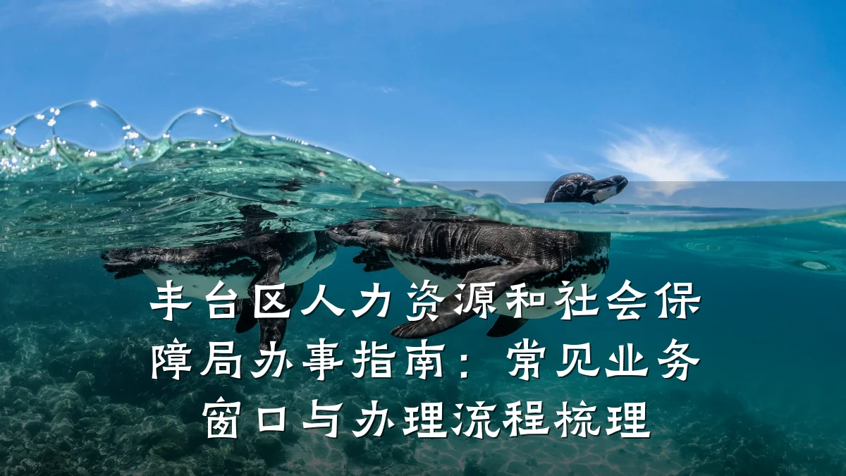 丰台区人力资源和社会保障局办事指南：常见业务窗口与办理流程梳理