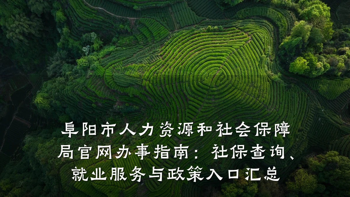 阜阳市人力资源和社会保障局官网办事指南:社保查询、就业服务与政策入口汇总