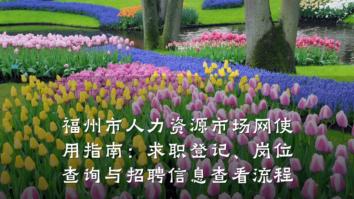 福州市人力资源市场网使用指南：求职登记、岗位查询与招聘信息查看流程