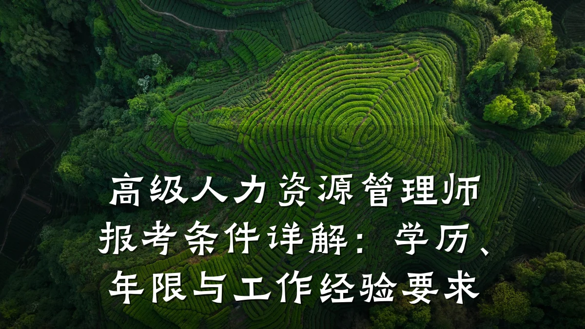 高级人力资源管理师报考条件详解：学历、年限与工作经验要求