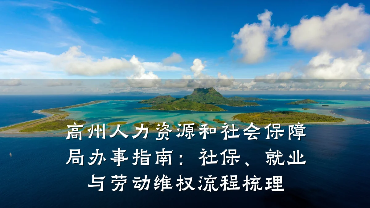 高州人力资源和社会保障局办事指南：社保、就业与劳动维权流程梳理