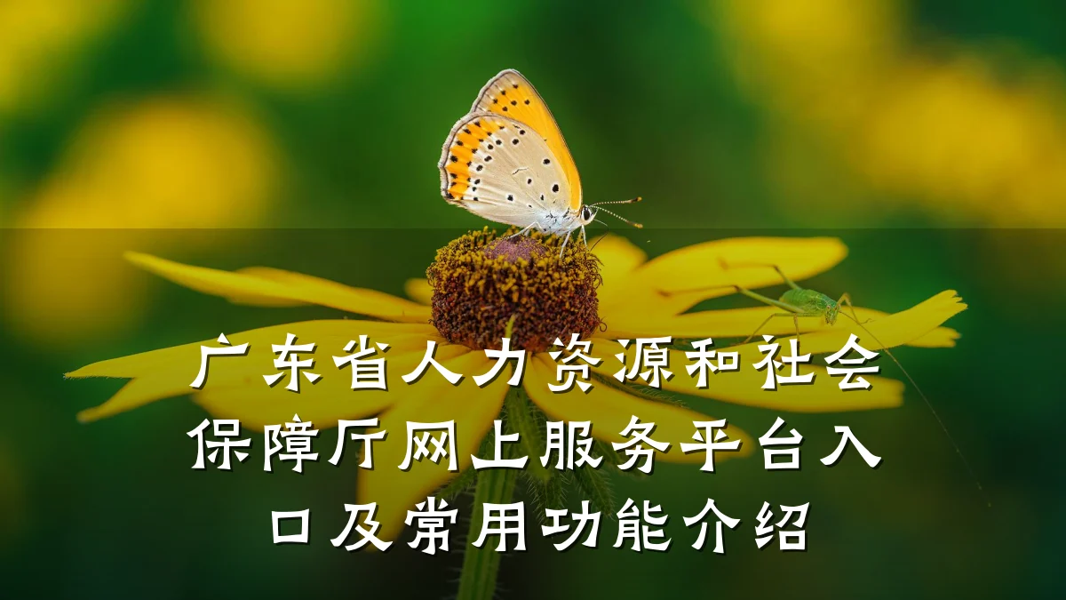 广东省人力资源和社会保障厅网上服务平台入口及常用功能介绍