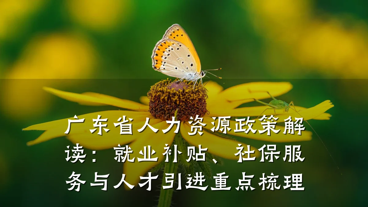 广东省人力资源政策解读：就业补贴、社保服务与人才引进重点梳理