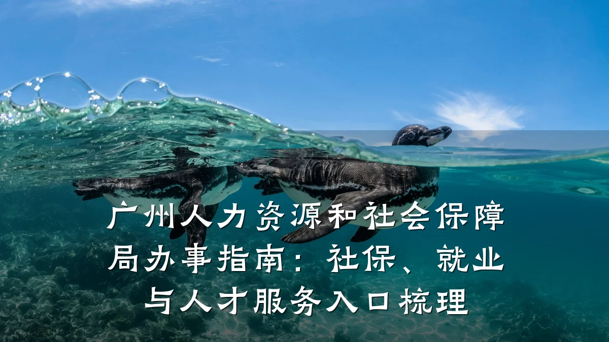 广州人力资源和社会保障局办事指南：社保、就业与人才服务入口梳理