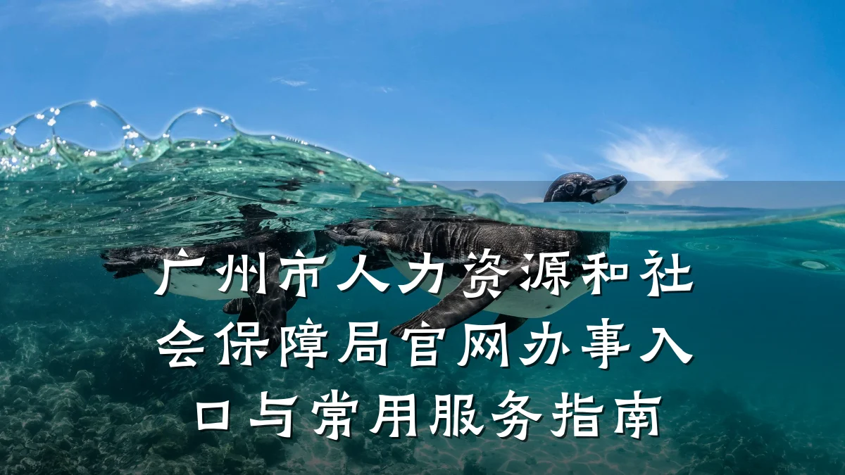 广州市人力资源和社会保障局官网办事入口与常用服务指南