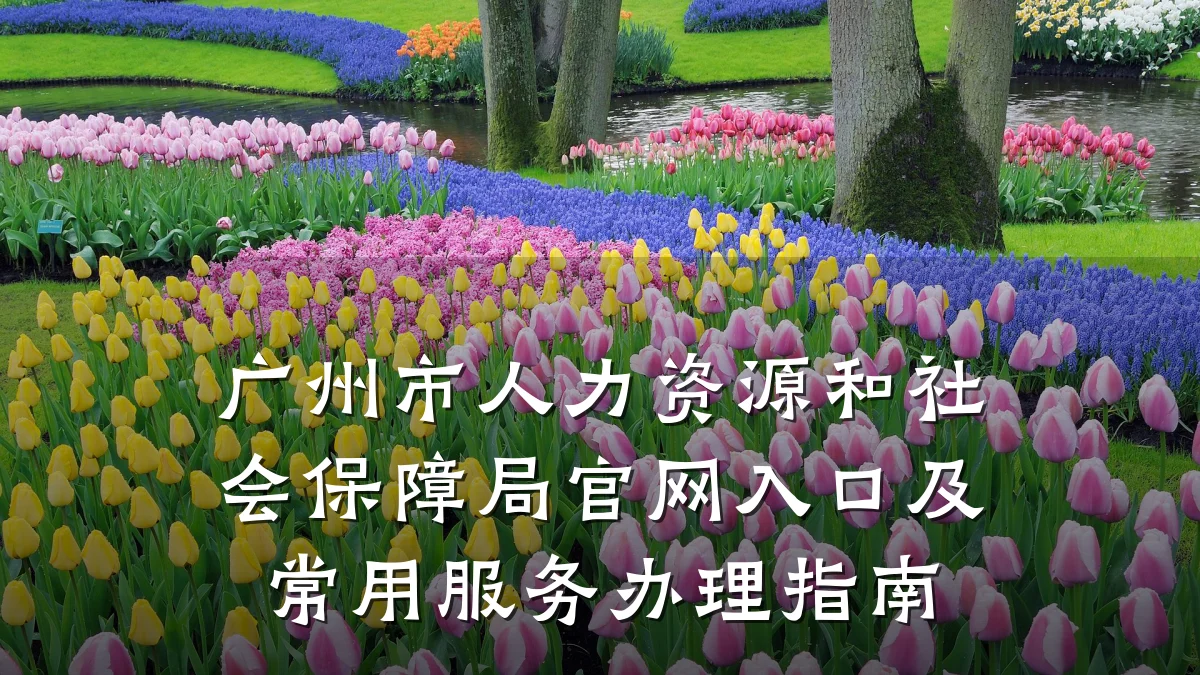 广州市人力资源和社会保障局官网入口及常用服务办理指南