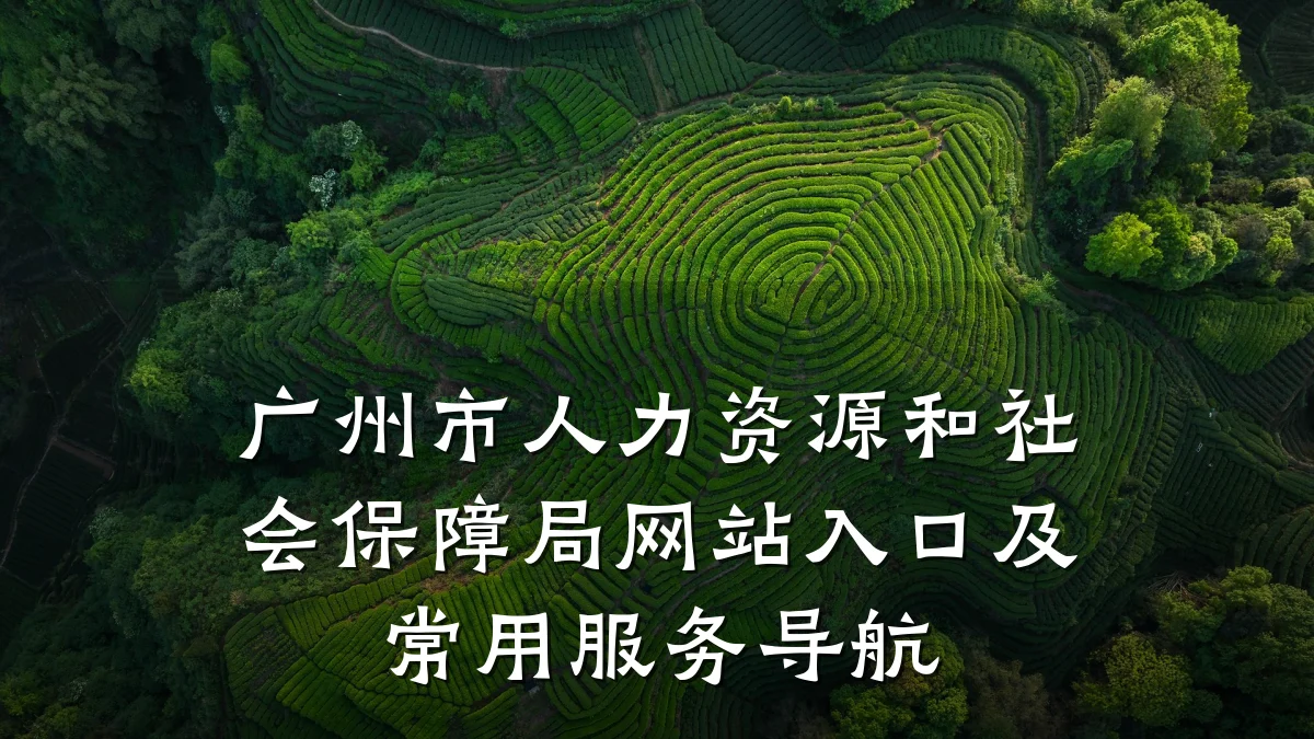 广州市人力资源和社会保障局网站入口及常用服务导航