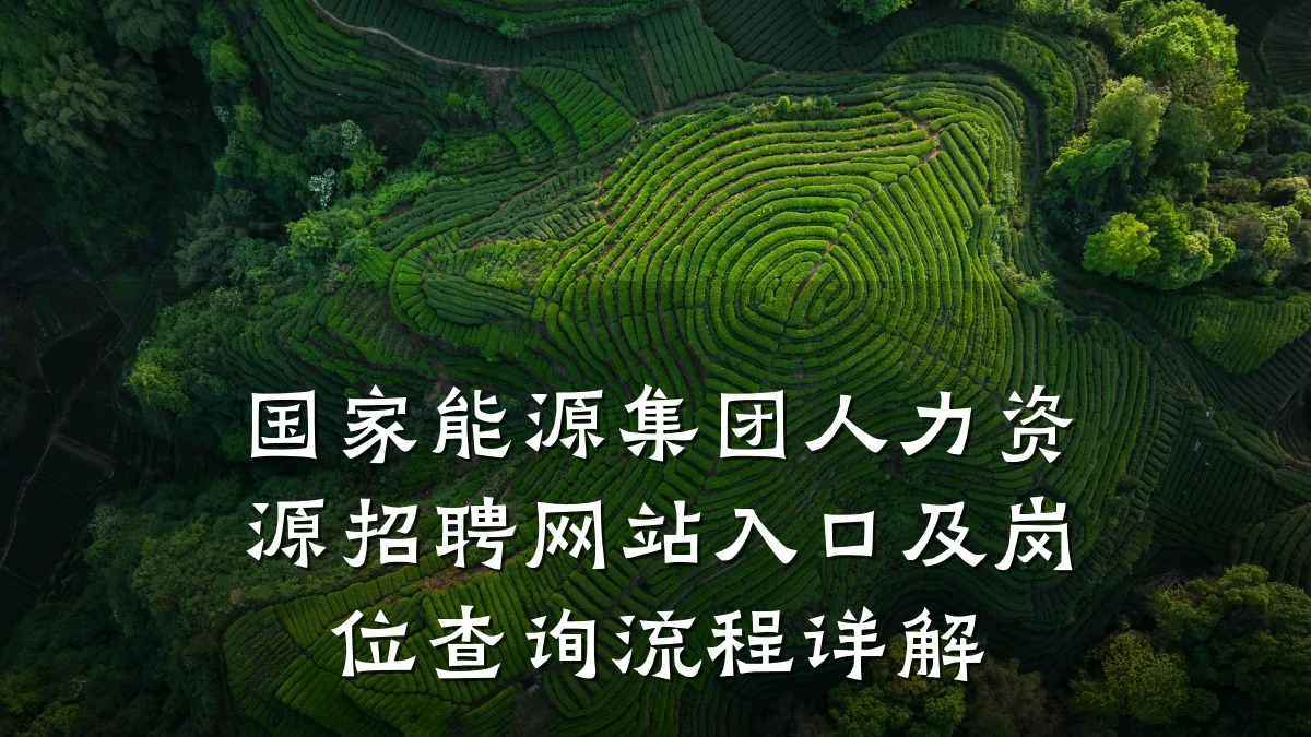 国家能源集团人力资源招聘网站入口及岗位查询流程详解