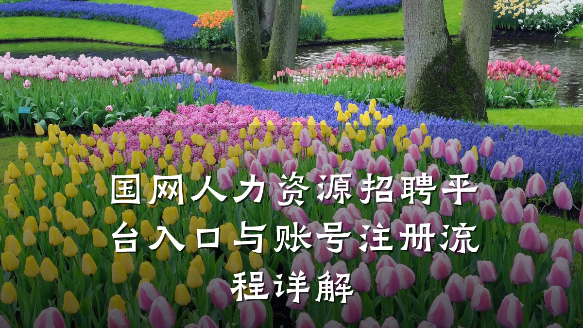 国网人力资源招聘平台入口与账号注册流程详解
