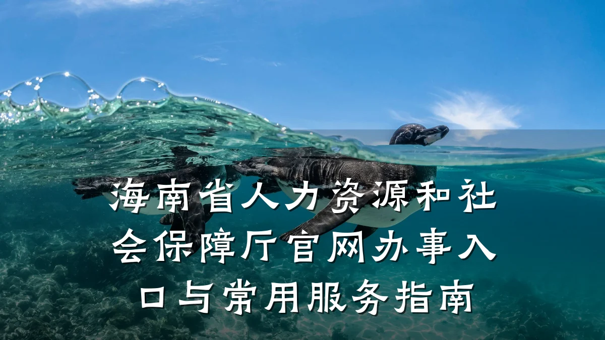 海南省人力资源和社会保障厅官网办事入口与常用服务指南