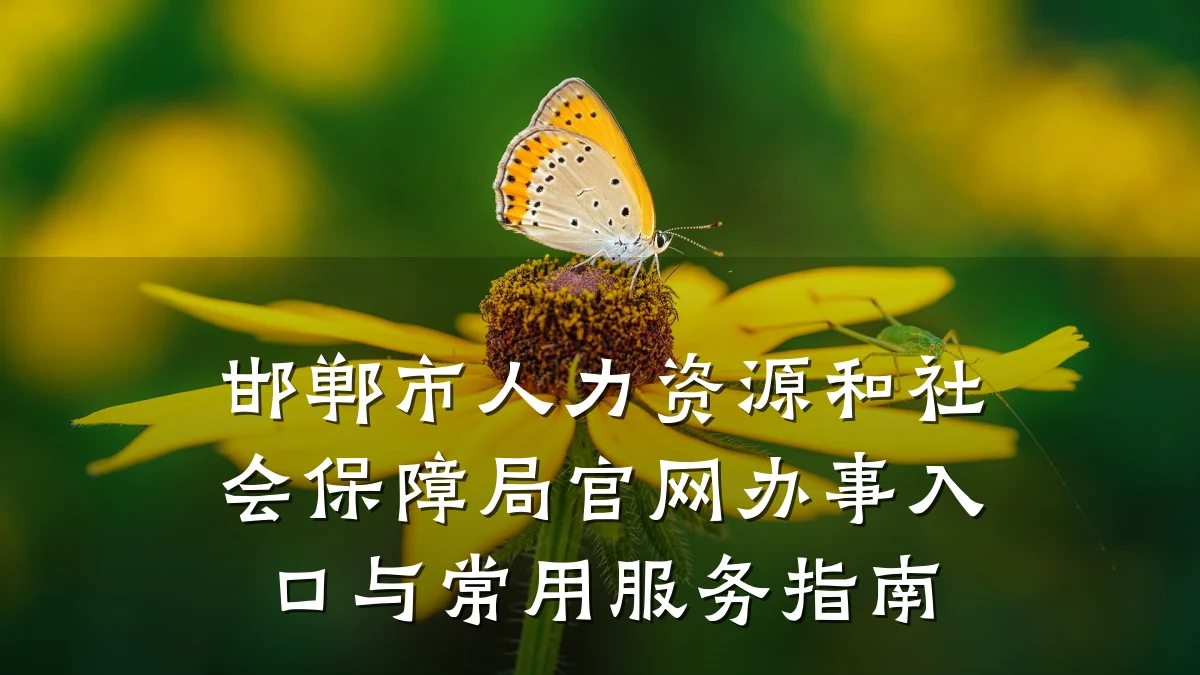 邯郸市人力资源和社会保障局官网办事入口与常用服务指南
