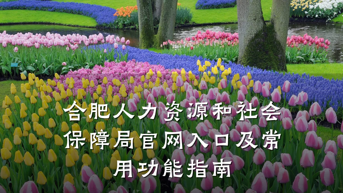 合肥人力资源和社会保障局官网入口及常用功能指南