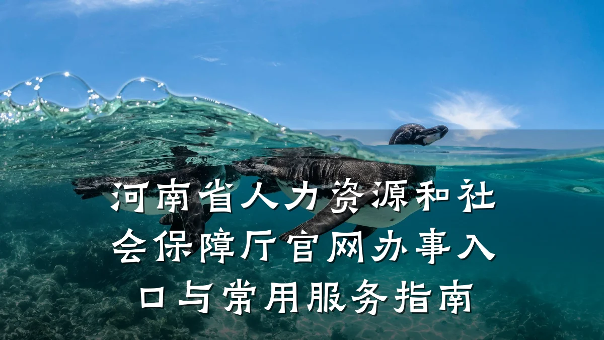 河南省人力资源和社会保障厅官网办事入口与常用服务指南