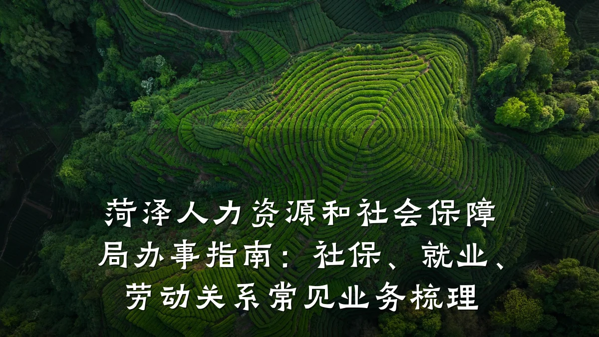 菏泽人力资源和社会保障局办事指南：社保、就业、劳动关系常见业务梳理