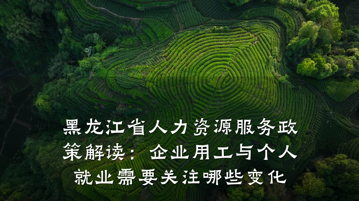 黑龙江省人力资源服务政策解读：企业用工与个人就业需要关注哪些变化