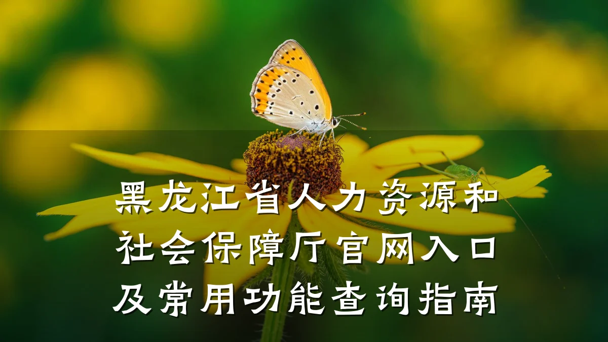 黑龙江省人力资源和社会保障厅官网入口及常用功能查询指南