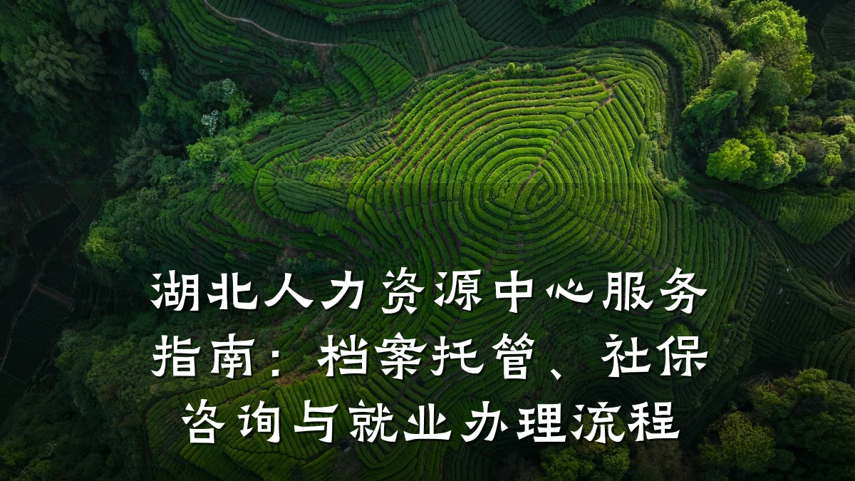 湖北人力资源中心服务指南：档案托管、社保咨询与就业办理流程