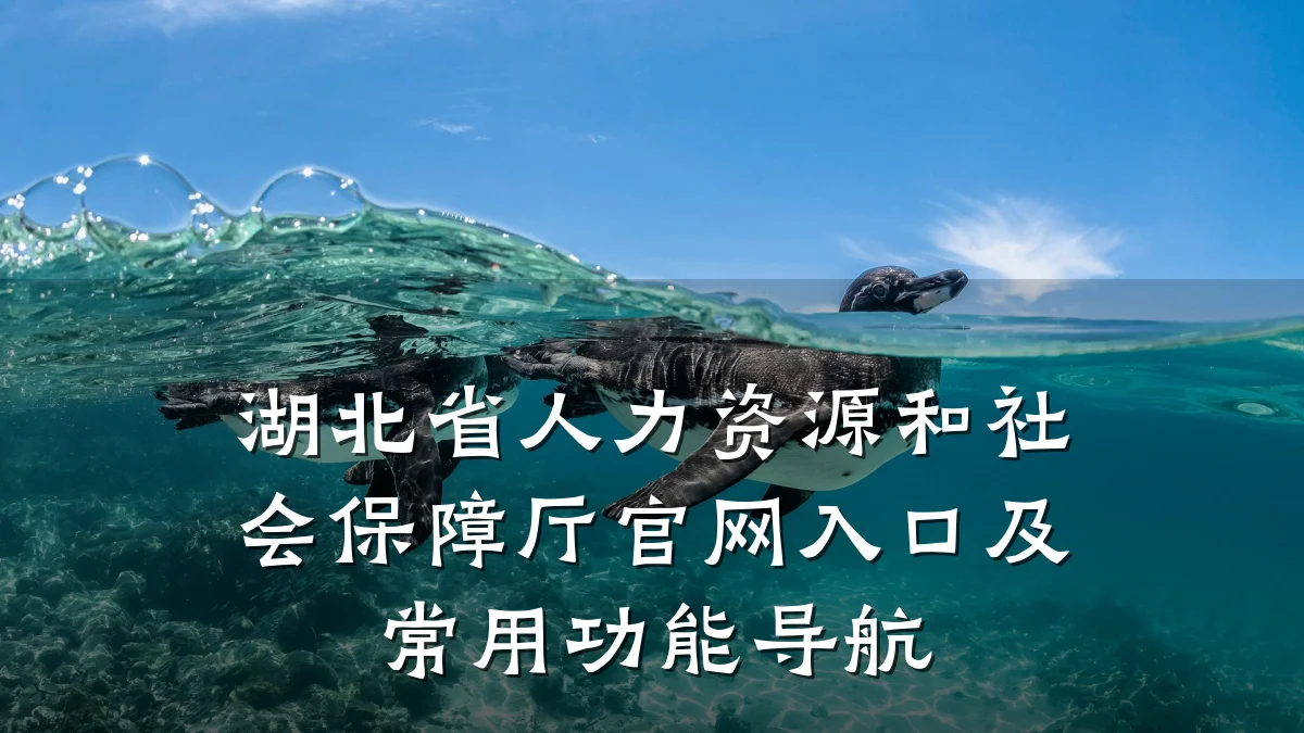 湖北省人力资源和社会保障厅官网入口及常用功能导航