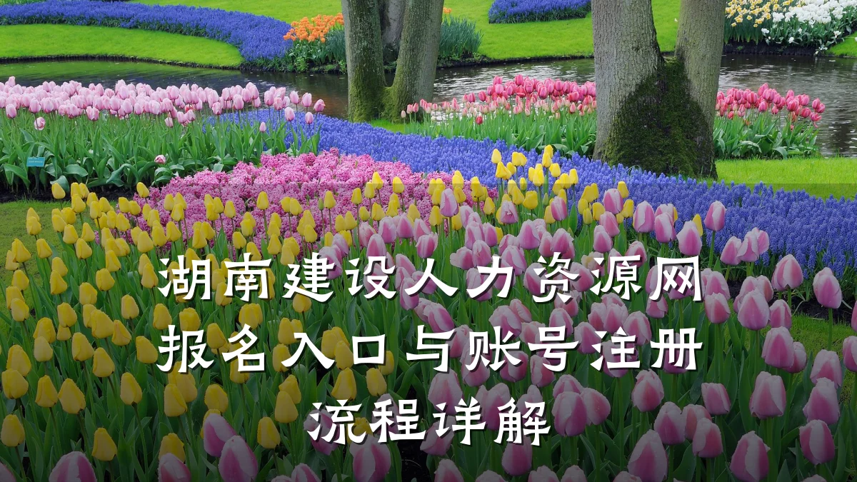 湖南建设人力资源网报名入口与账号注册流程详解